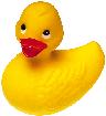 canard.jpg : 500x546